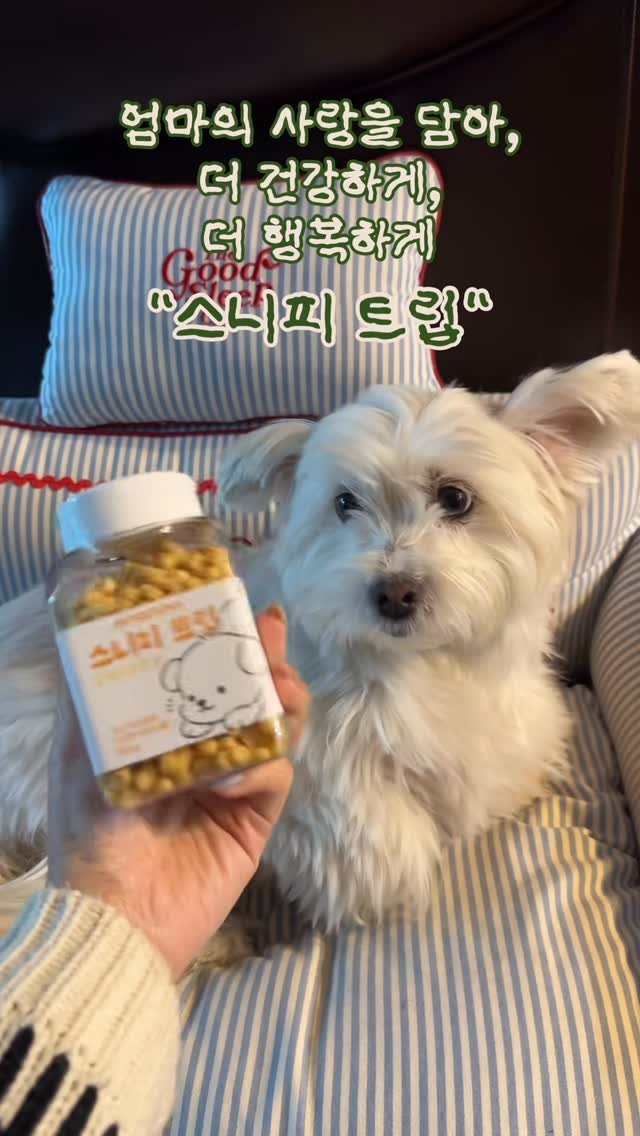 97crystalkiki 게시물 이미지: #협찬

우리 둥슬이에게 어떤 간식을 줘야할지
항상 고민이에요!
✔️살...