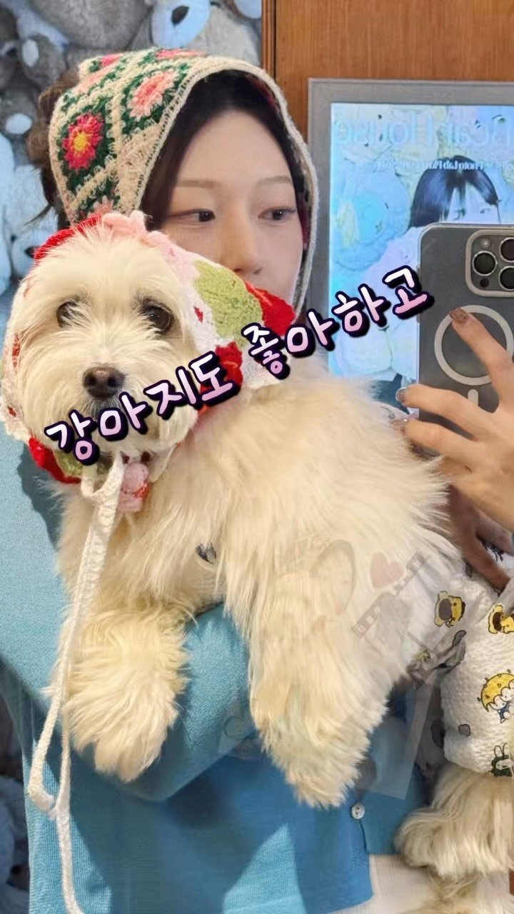 97crystalkiki 게시물 이미지: #협찬
향을 입은 두피 클렌저..♥
#페르니
영국 직수입 럭셔리 퍼퓸 메디테이션...
