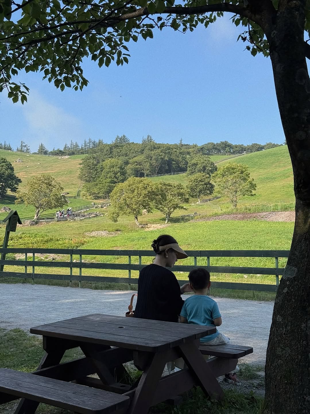 Photo by 구라미 (김수지) | 애둘맘, 라이프, 패션, 뷰티 on July 30, 2025. May be an image of picnic and text.