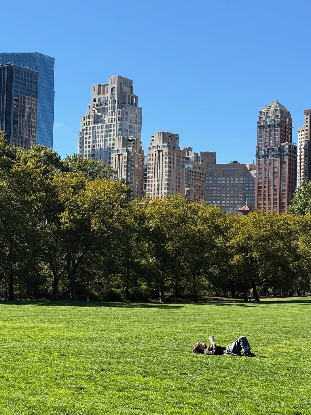 Photo shared by 패션 뷰티 아붐🍰ahboom on November 06, 2025 tagging @newyork. May be an image of grass, skyscraper, buildings, park and text.