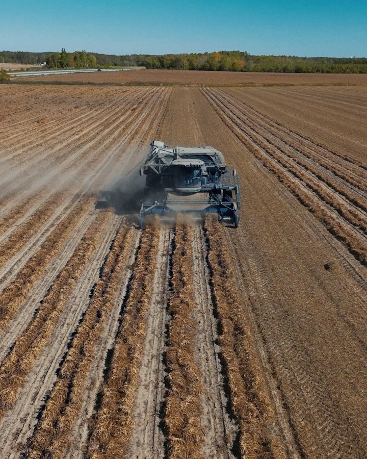 ChatGPT 게시물 이미지: More than half of US ChatGPT users say it...