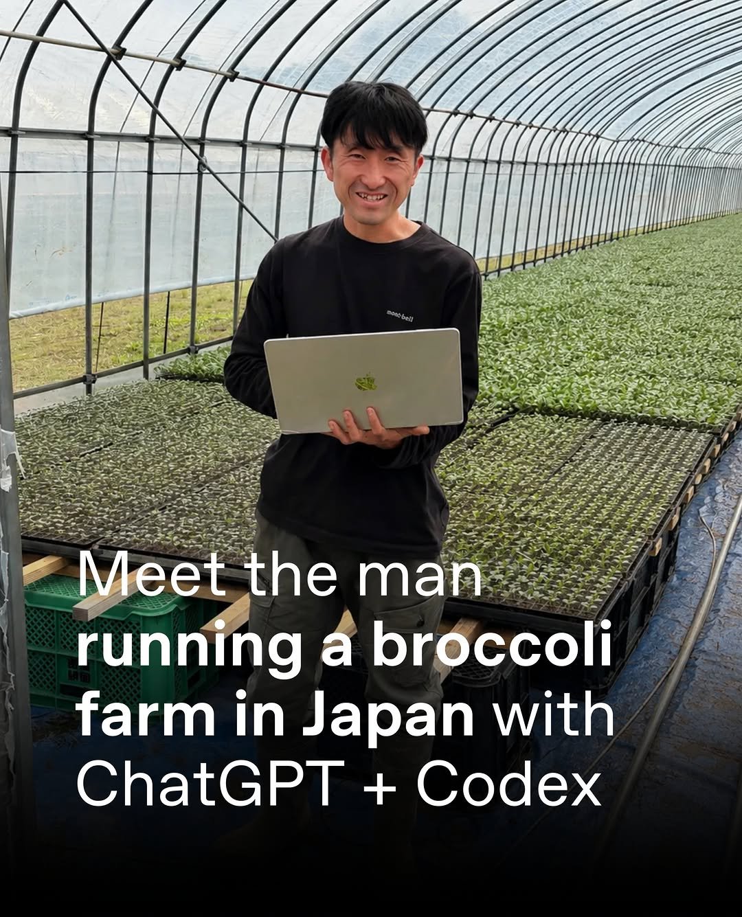 ChatGPT 게시물 이미지: Hiroki Tomiyasu never planned to become a...