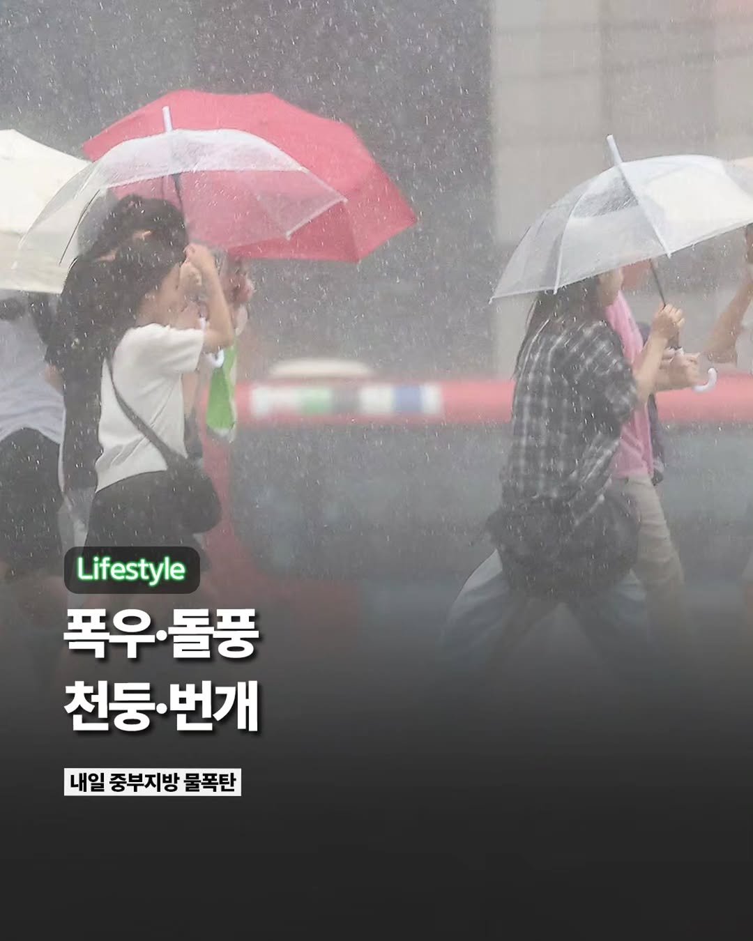 Etc_zine 게시물 이미지: 최근 폭우와 폭염이 반복되는 변덕스러운 날씨가 이어지고 있는 가운데,...