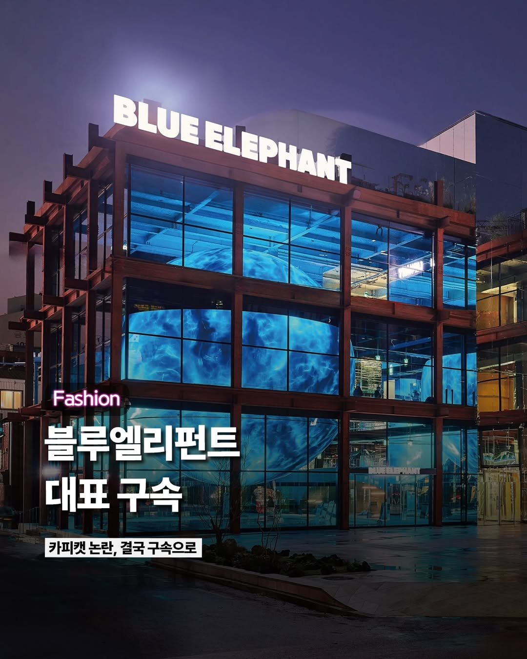 Photo by ETC on February 23, 2026. May be an image of signboard, poster and text that says 'BLUE BLUEELEPHANY ELEPHANT ELEPHANT Fashion. 블루엘리펀트 대표구속 대표 구속 BИEEEPИAH ENI 블루엘리먼트지 INI 카피켓논란,걸국구속으로 카피캣 논란, 결국 구속으로'.