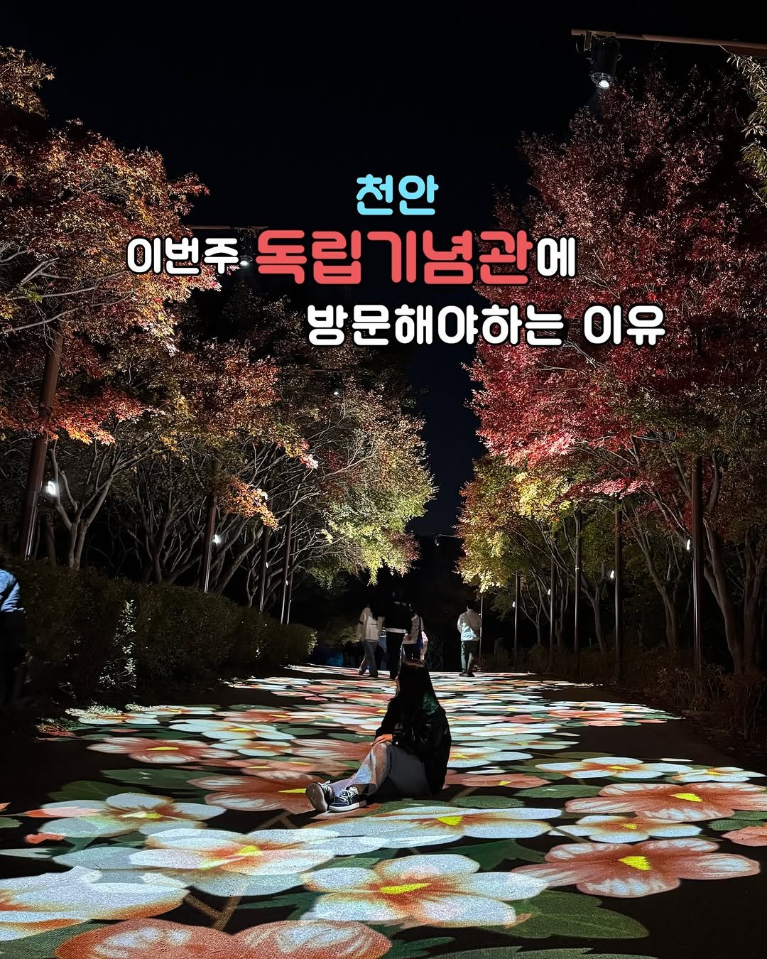 Eunbyulstyle 게시물 이미지: (저장/공유) 오늘까지 야간개장하는 천안 독립기념관 단풍나무숲길 🍁
➡️ 겨레의 탑...