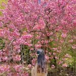 Eunbyulstyle 인스타그램 프로필 사진