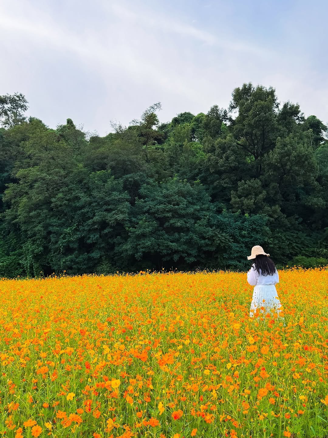 Photo by 감성여행 크리에이터ㅣ꽃은별 on September 02, 2025. May be an image of 1 person, globe amaranth, Indian paintbrush, outdoors and text.