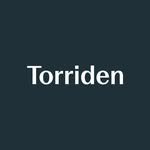 torriden 프로필 사진