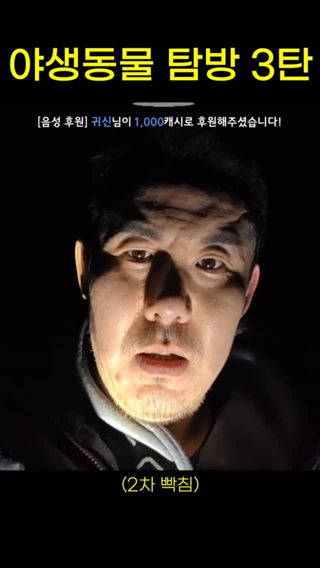 Hehetaru 게시물 이미지: 뽕알 주우라고?