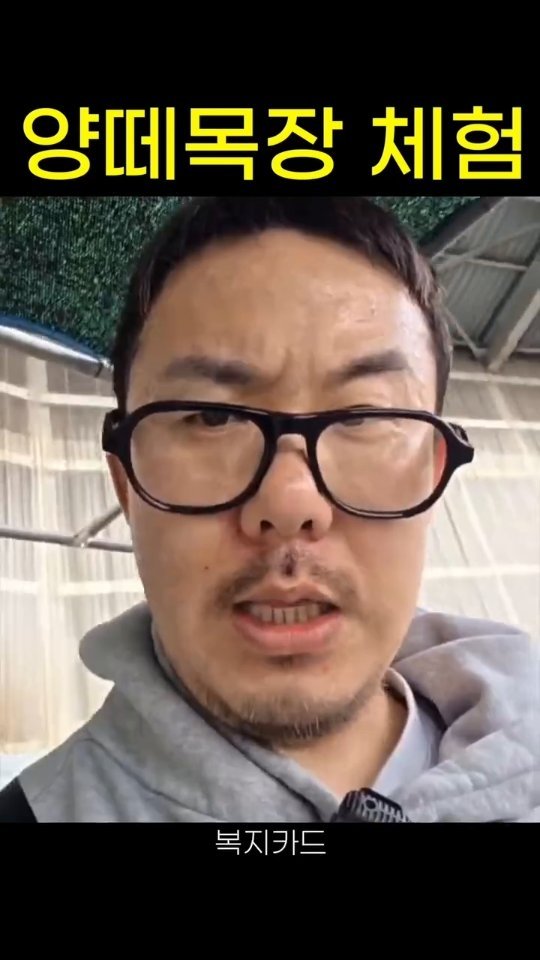 Hehetaru 게시물 이미지: 동물학대 논란 해명