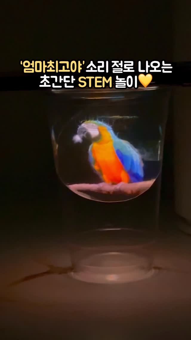 Hoyaiscoming 게시물 이미지: 아이가 반응이 폭발!! 엄마로서 뿌듯한 순간이죠💛
저도 처음 봤을 때
“이게 이렇게...