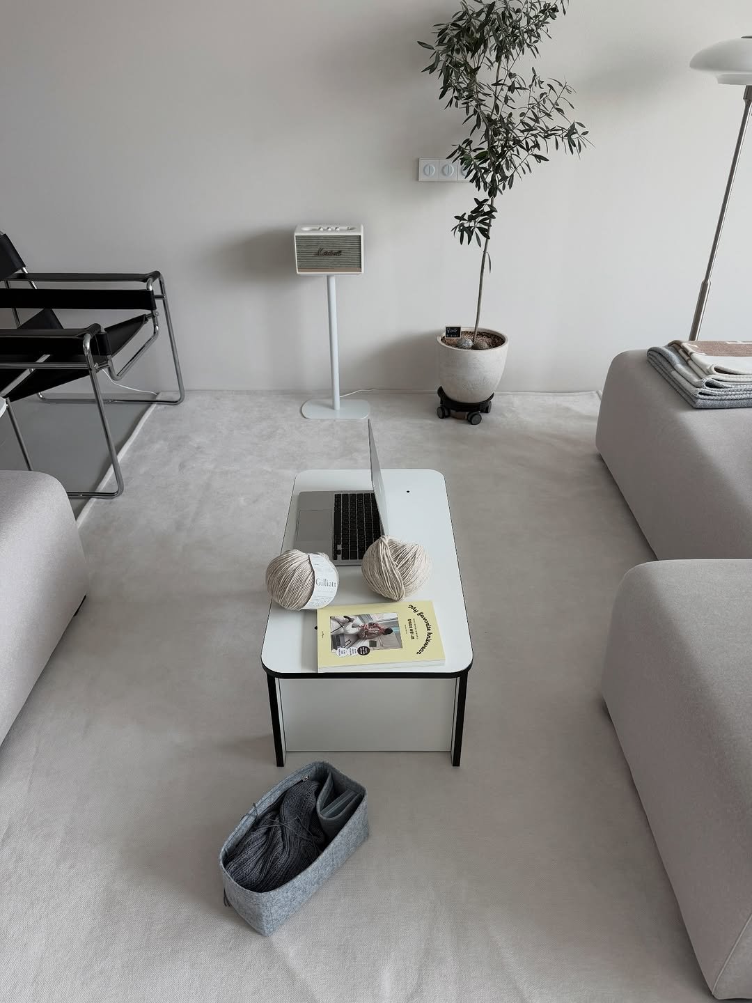 Photo shared by Jin on February 11, 2026 tagging @jeudart. May be an image of house plant, carpet, living room, indoors and text.