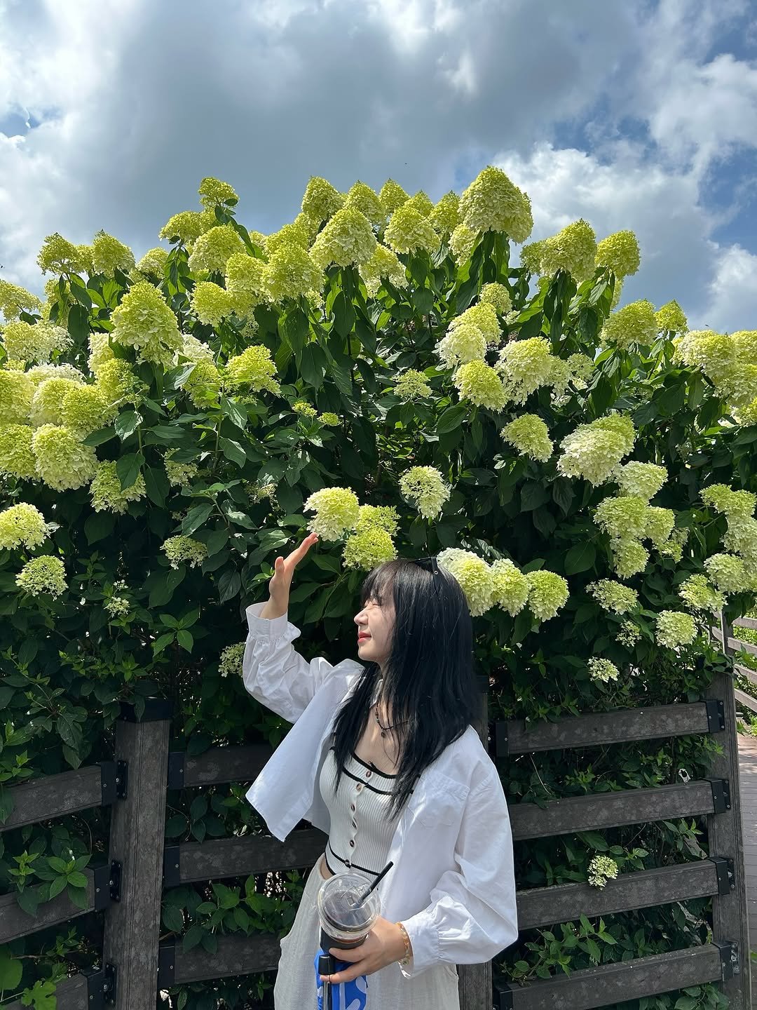 Photo by 지수 on August 11, 2025.