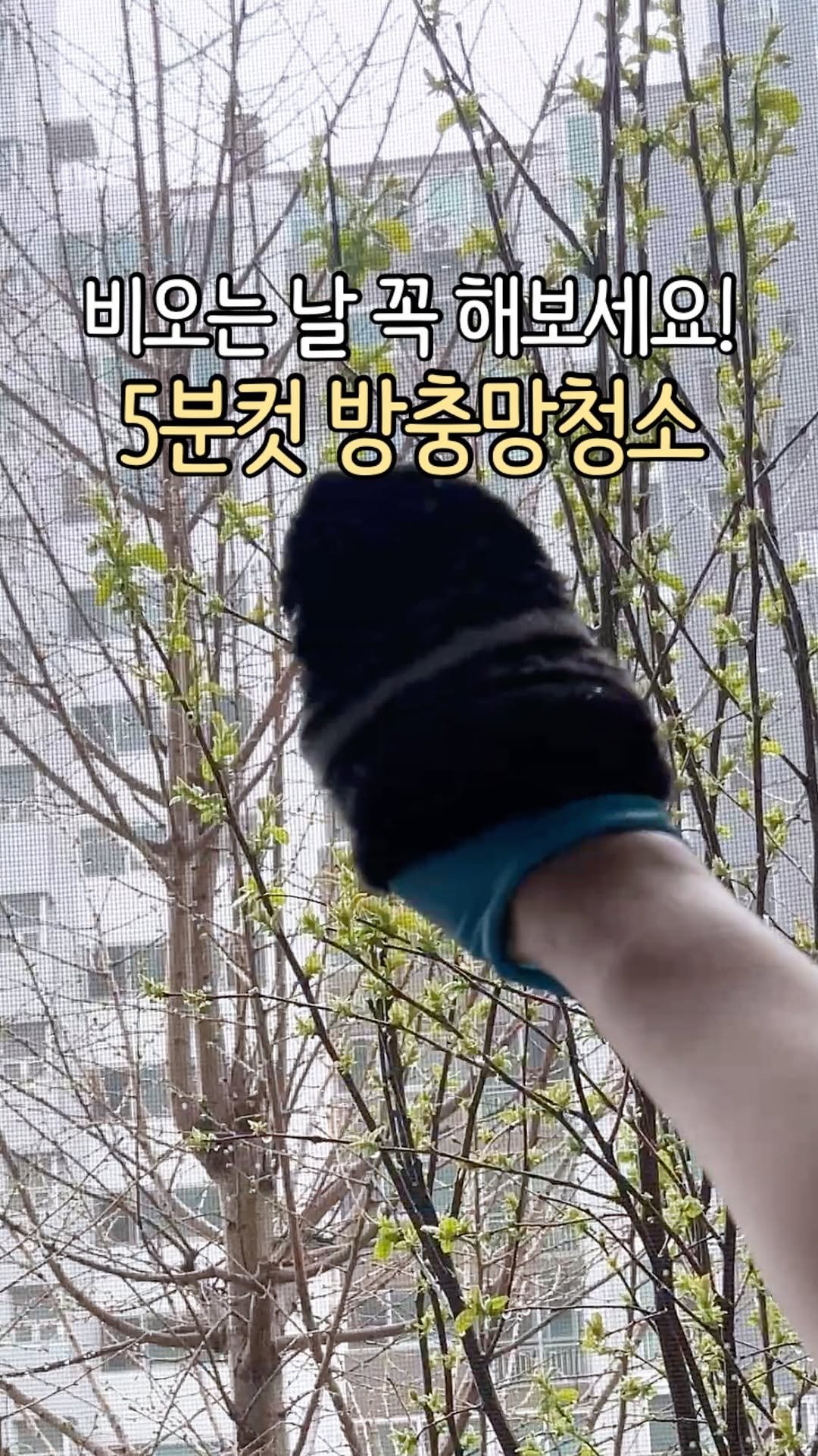 Jubu_map 게시물 이미지: 구정물 보면.. 하기 전으로 못돌아가요..😶‍🌫️
이맘때 비가 올때면 
꼭 챙기는...