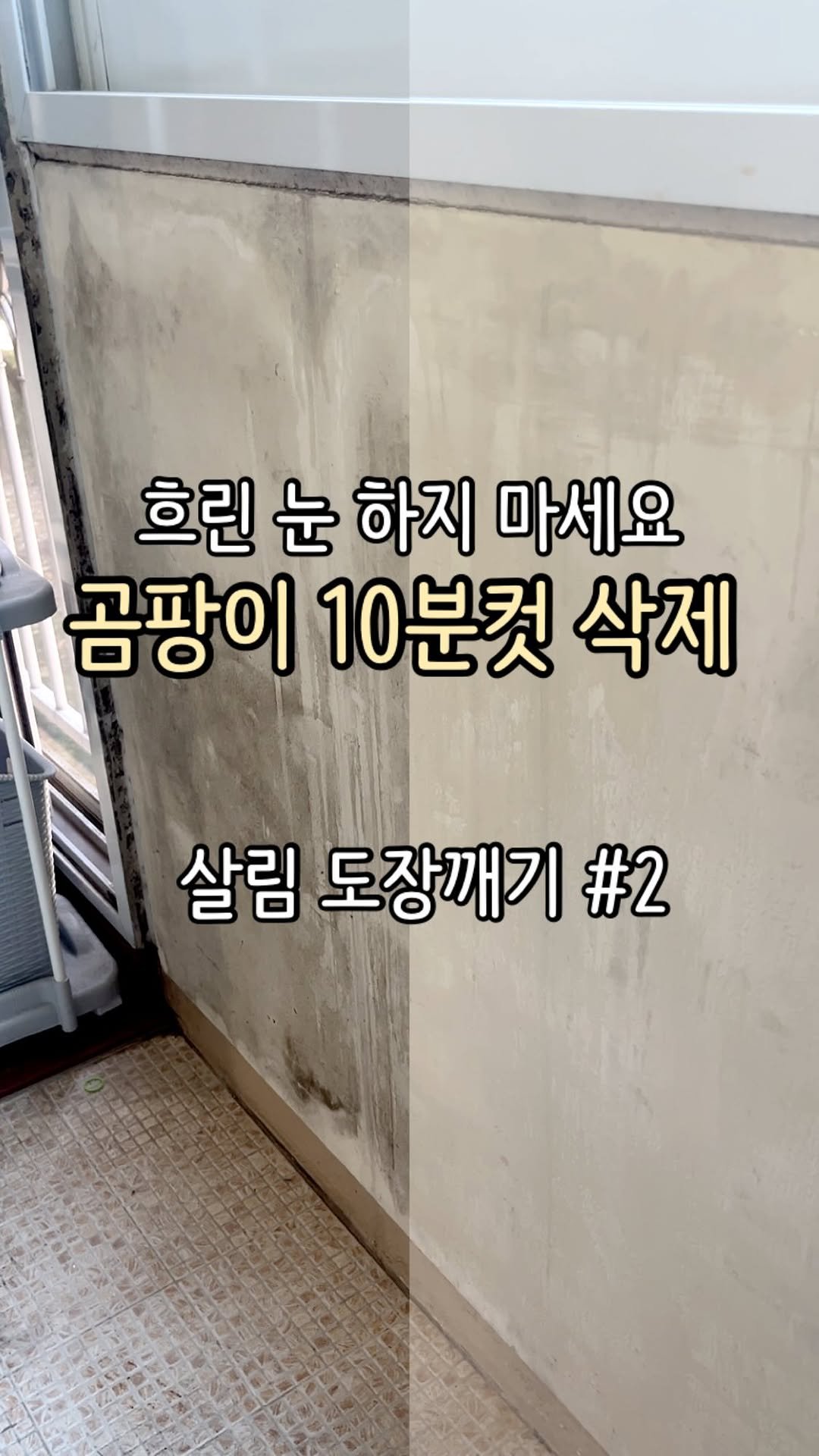 Jubu_map 게시물 이미지: 입주청소 때도 안 지워준 세탁실 벽 곰팡이..
알고 보니 10분이면 싹...
