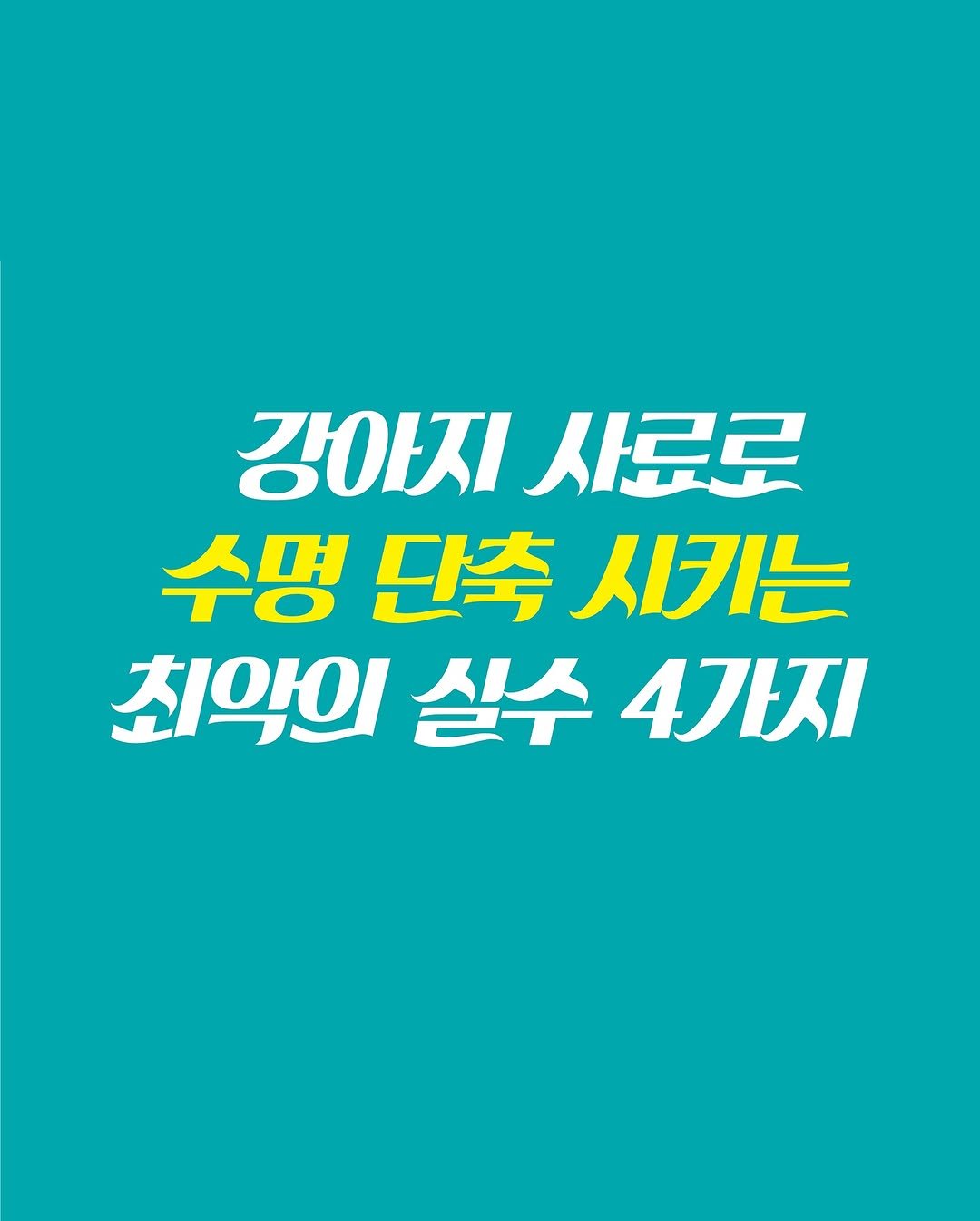 Kr.natureskey 게시물 이미지: 강아지 사료 살 때 이 4가지 모르면 수명이 확 단축됩니다. 
자세한 정보가...