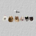 corn____family 프로필 사진