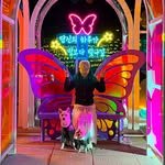 cr.db_chomangkie 프로필 사진