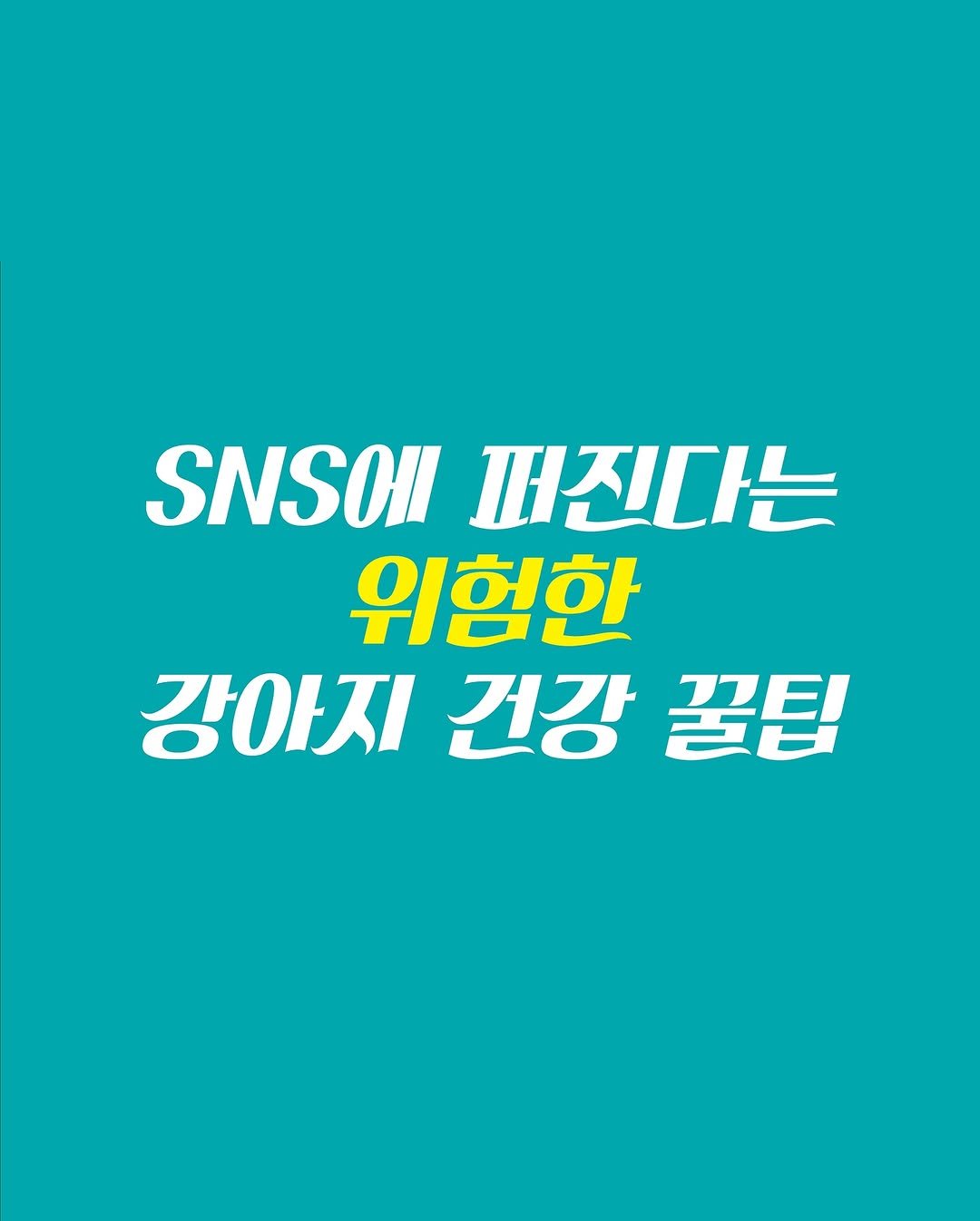 Kr.natureskey 게시물 이미지: 요즘 잘못퍼지고 있다는, 위험한 강아지 건강 꿀팁
진짜 위험할 수 있습니다....