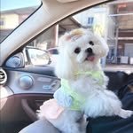spam_mintt 프로필 사진