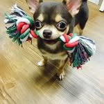 sunmi8735 프로필 사진