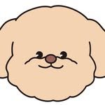 brgoggan_official 프로필 사진