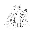 dda_soop_ 프로필 사진
