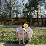 molrang_story_ 프로필 사진