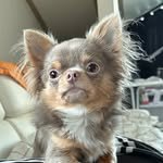 h.sic_5745 프로필 사진