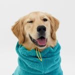 san_sams2 프로필 사진