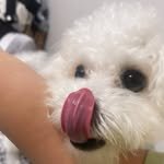 haru__0_o 프로필 사진