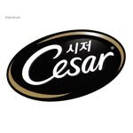 cesar_pet_kr 프로필 사진