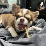 babi_dodam_ 프로필 사진