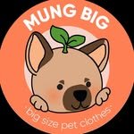 mung_big 프로필 사진