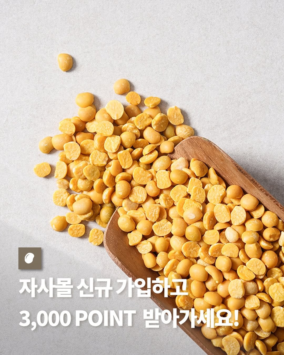 Photo by 루피너리 (Lupinery) on March 20, 2025.