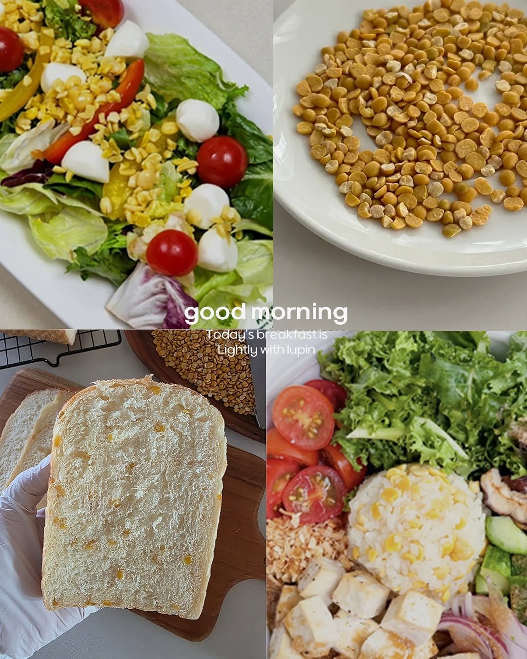 Photo by 루피너리 (Lupinery) on November 27, 2025. May be an image of tofu, boiled egg, cereal, toast, vegetable and oats.