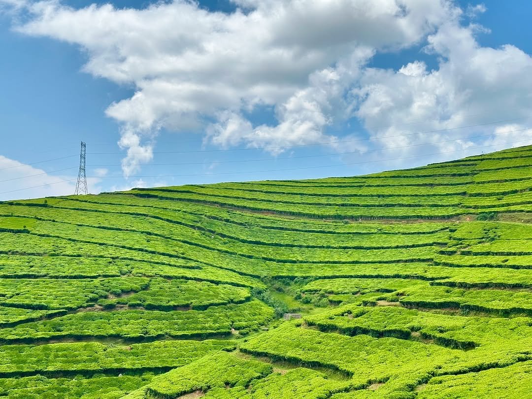 S 게시물 이미지: Windows XP Rwanda Edition