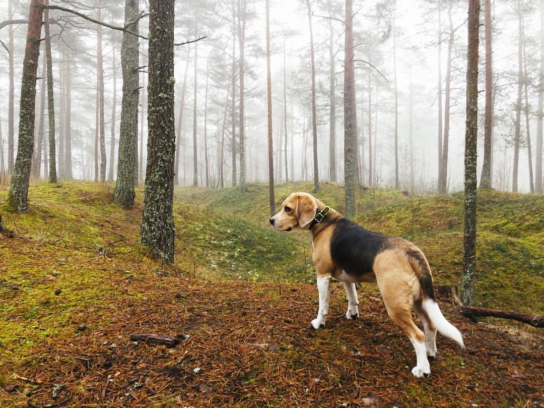 Photo by Sander Värv on December 30, 2018.