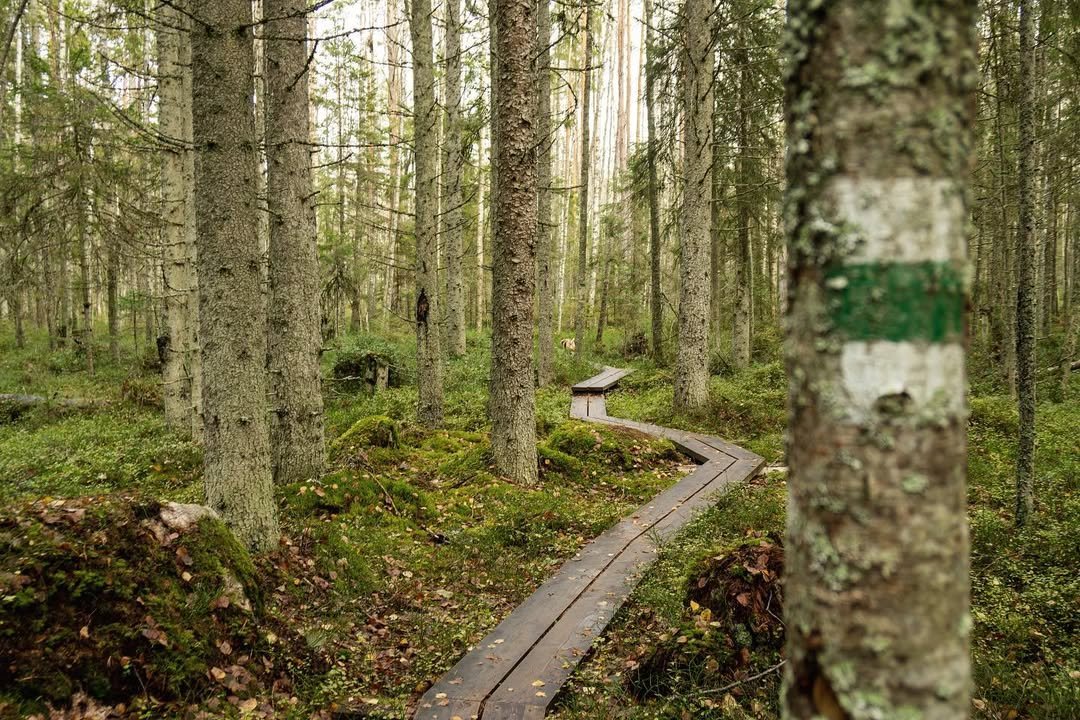 Photo by Sander Värv on October 25, 2020.