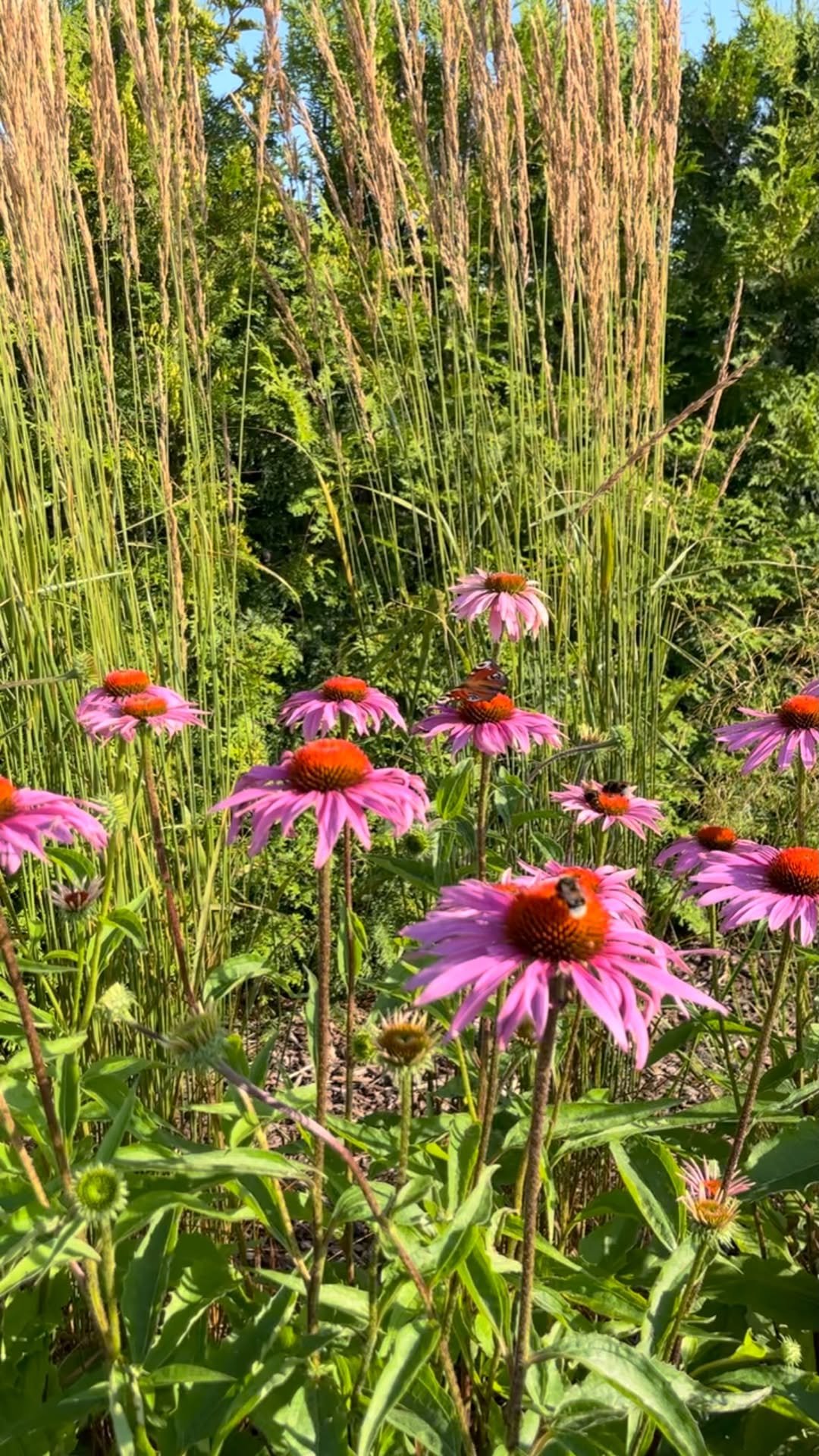 S 게시물 이미지: 