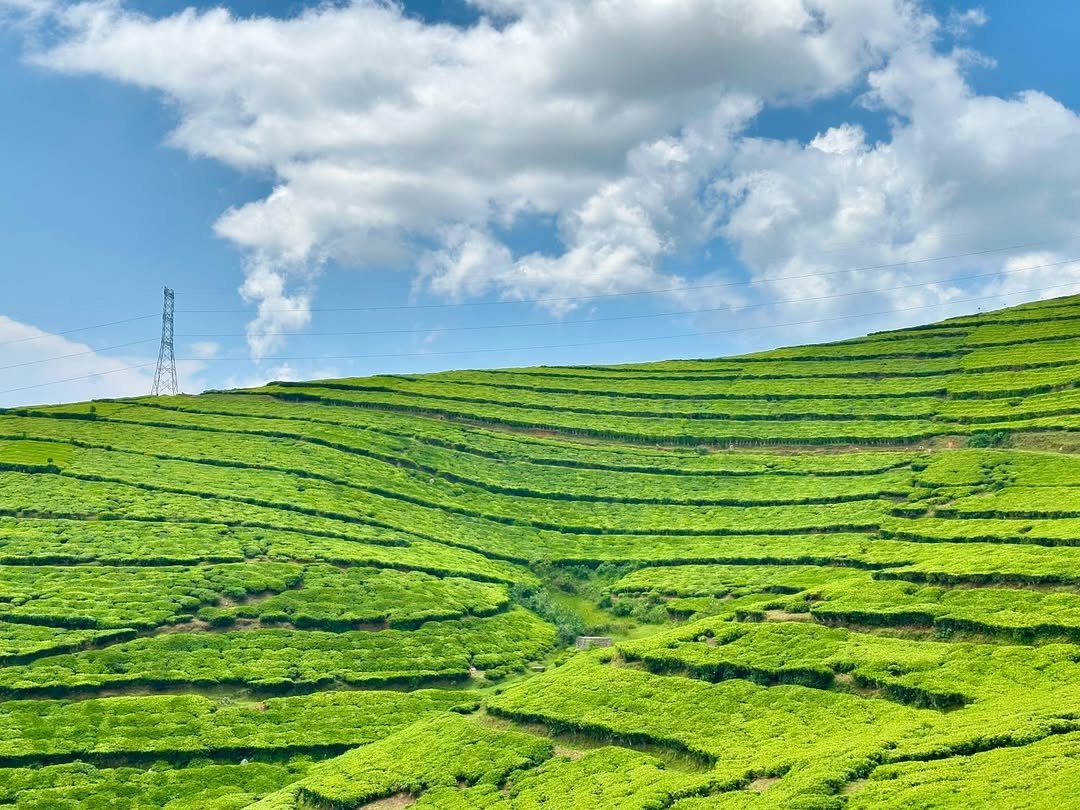 Photo by Sander Värv on December 05, 2024.