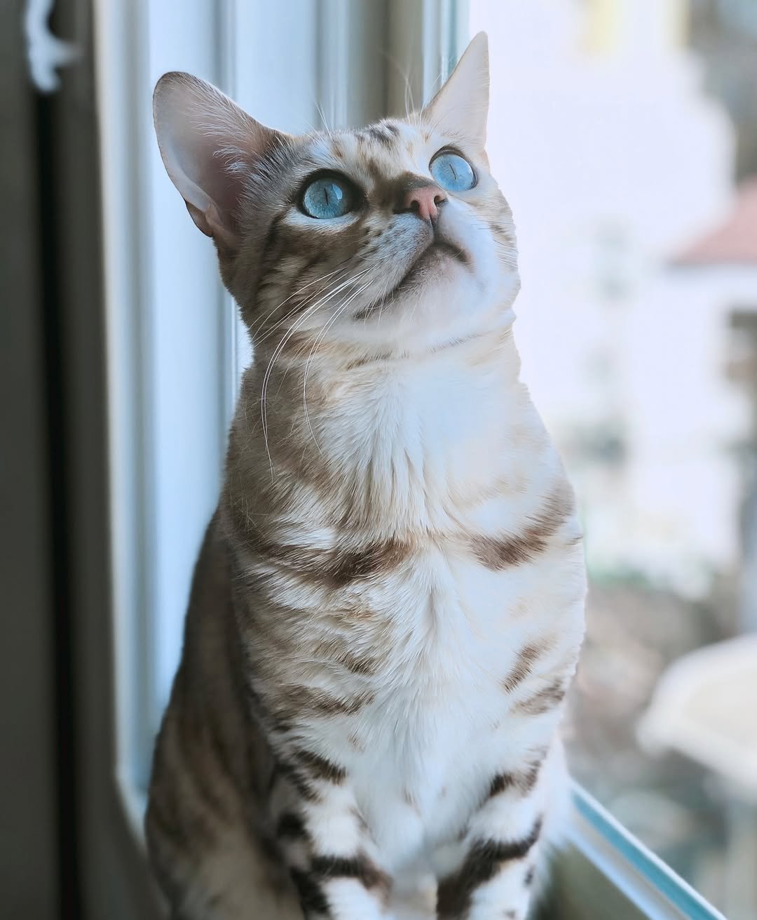 Photo shared by 이승훈 SƐAN | 로사뷔노 on August 22, 2024 tagging @bangcism.