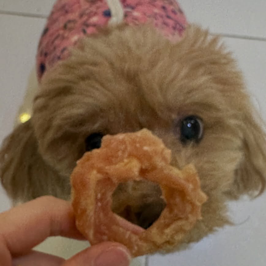 Photo by Misung on March 09, 2026. May be an image of fritter and text.