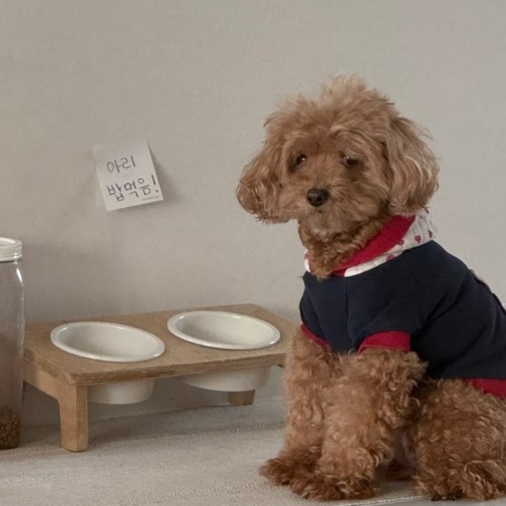 Photo by Misung on January 03, 2026. May be an image of dog, petfood and text.