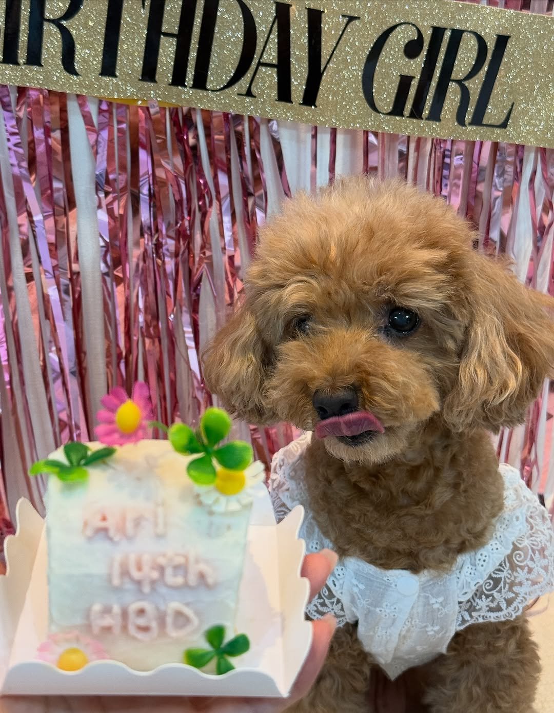 Photo by Misung on July 18, 2025.