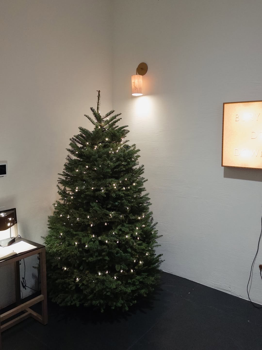 Photo by Yoontae Bang on December 24, 2025. May be an image of christmas tree and text.