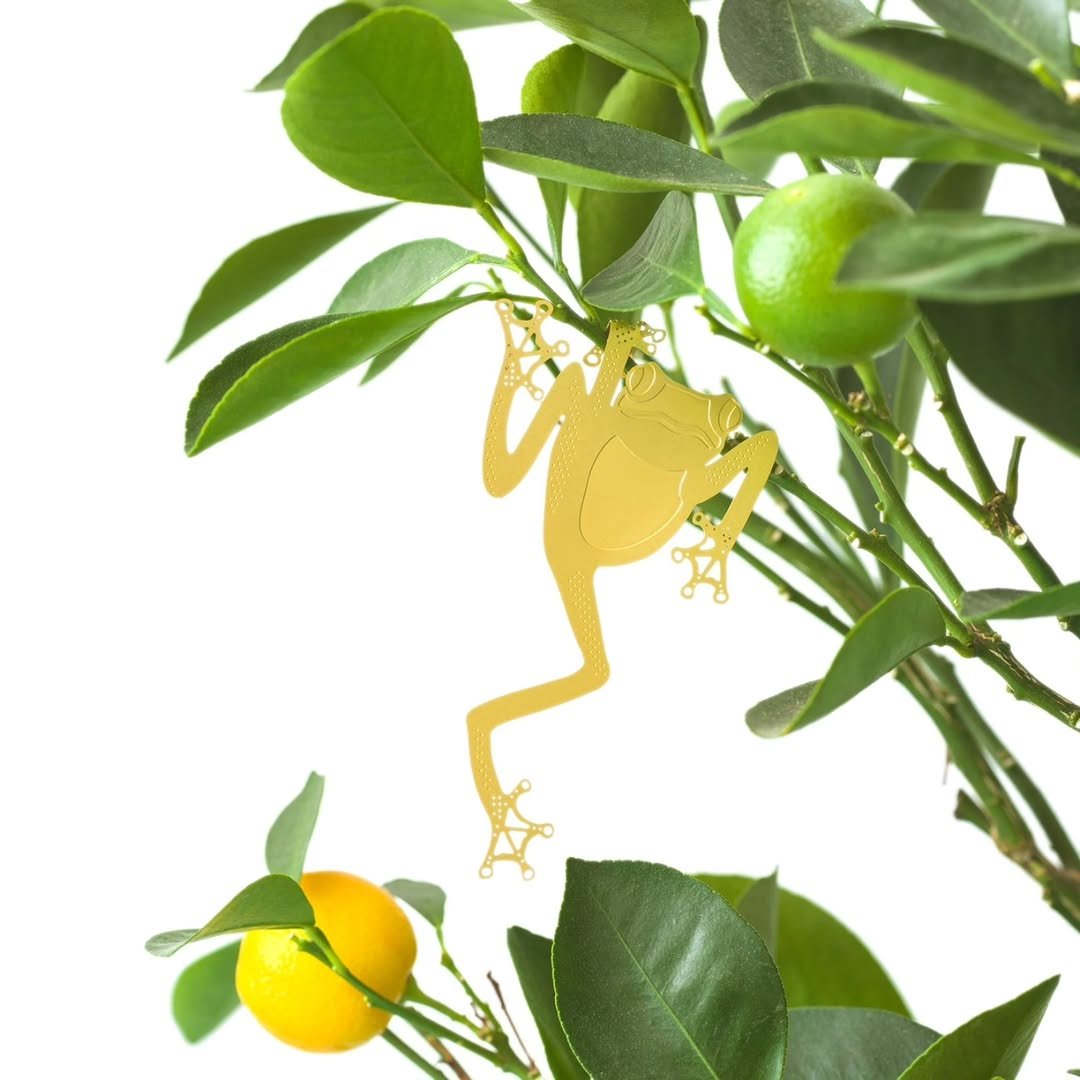 URBAN_GARDENER_OFFICIAL 게시물 이미지: 💚💛 어반가드너에서 판매중인 귀여운 가드닝 소품들 🐸 
.
.
.
#어반가드너...