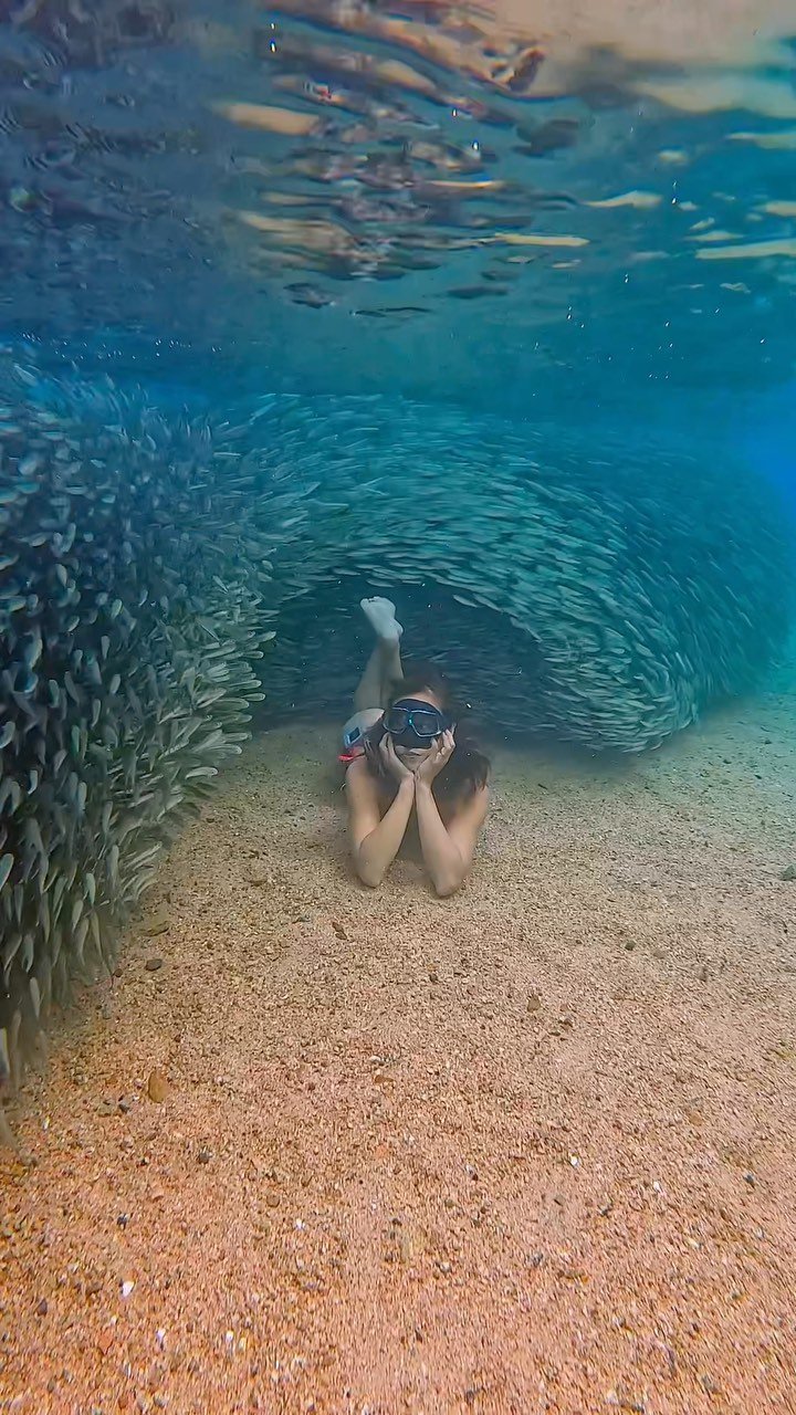 Underwatergraphy 게시물 이미지: 실버사이드가 많다못해, 아예 파묻혀버림ㅋㅋ
진짜 느긋한 다합의...