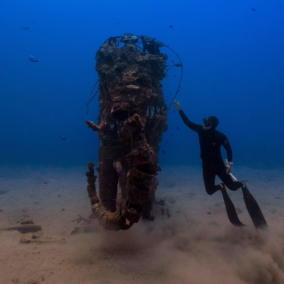 Photo shared by LEE JONGKEE on January 30, 2026 tagging @diver__chris. May be an image of acquatic animal, snorkel, water and text.