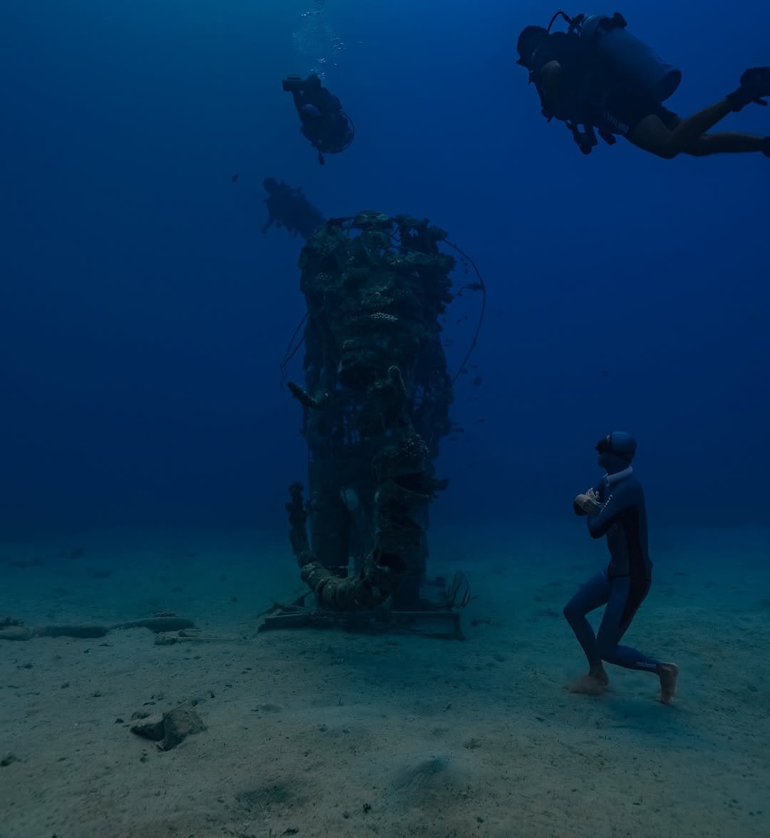 Photo shared by 웅자, 숨을 멈추고 잔잔한 나를 듣는 사람 on January 10, 2026 tagging @underwatergraphy, and @molchanovsfreediving. May be an image of acquatic animal, wetsuit, snorkel, water and text.
